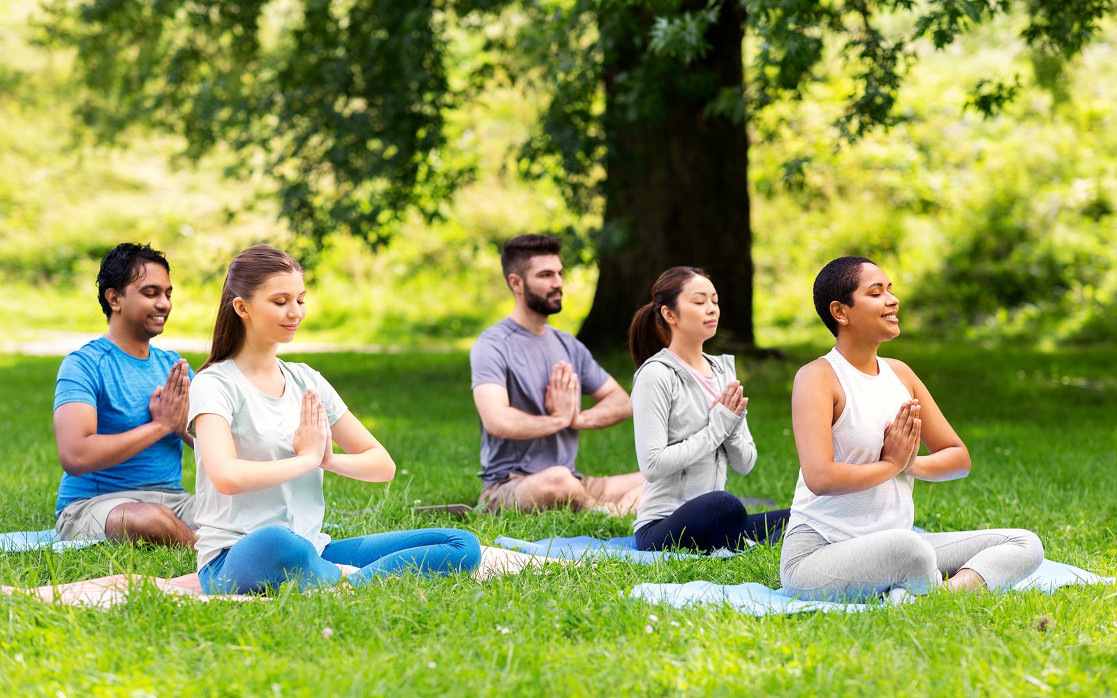 Haritha International Sound Healing School for Chakras