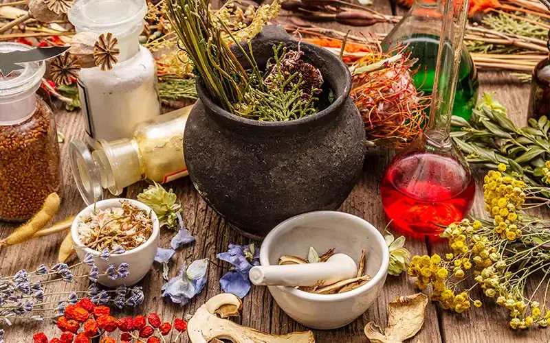 Ayurveda Diploma Course