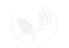 About Haritha International Sound Healing School Rishikesh