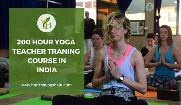 Sound Healing Experience